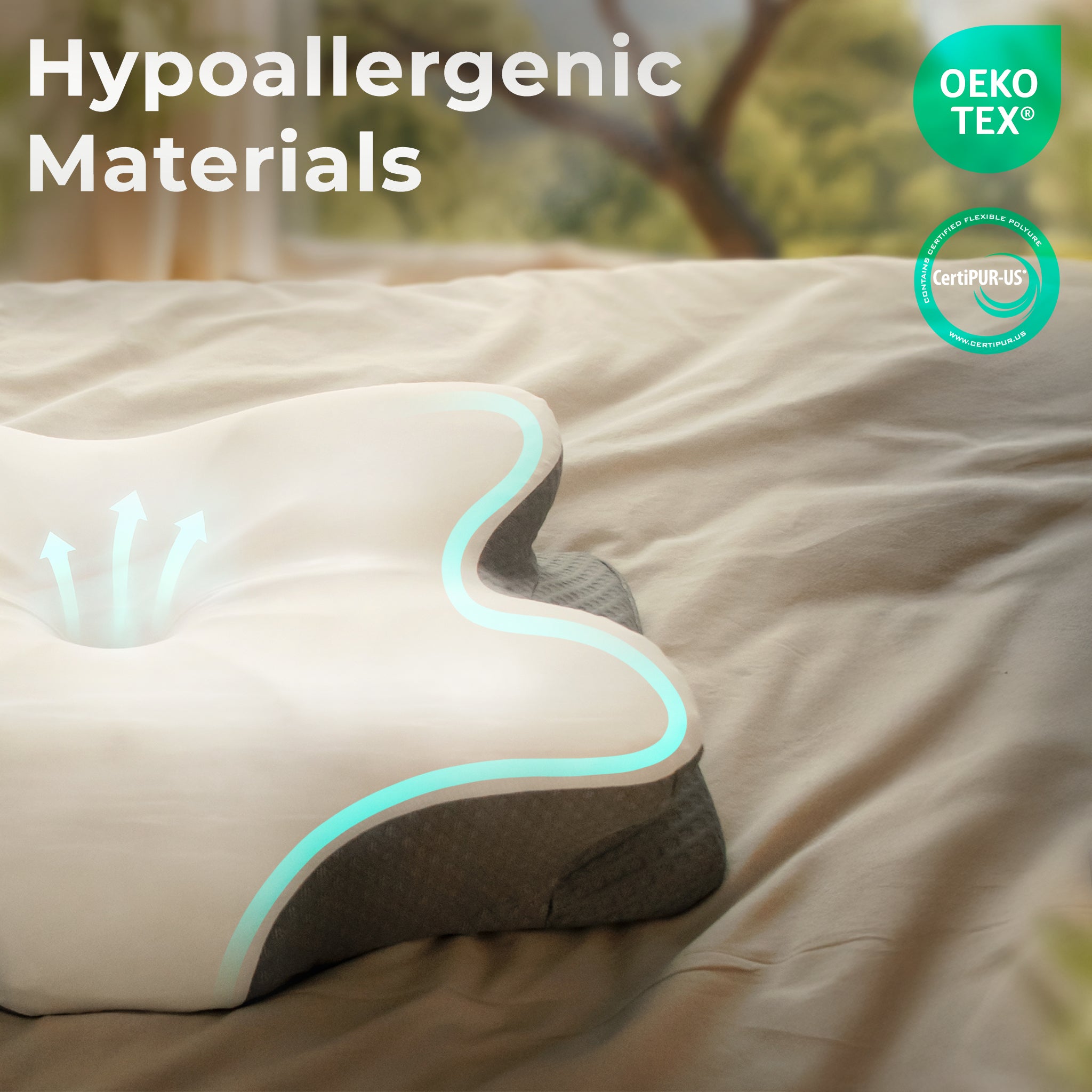 CloudEaze™ AuroraNest Pillow