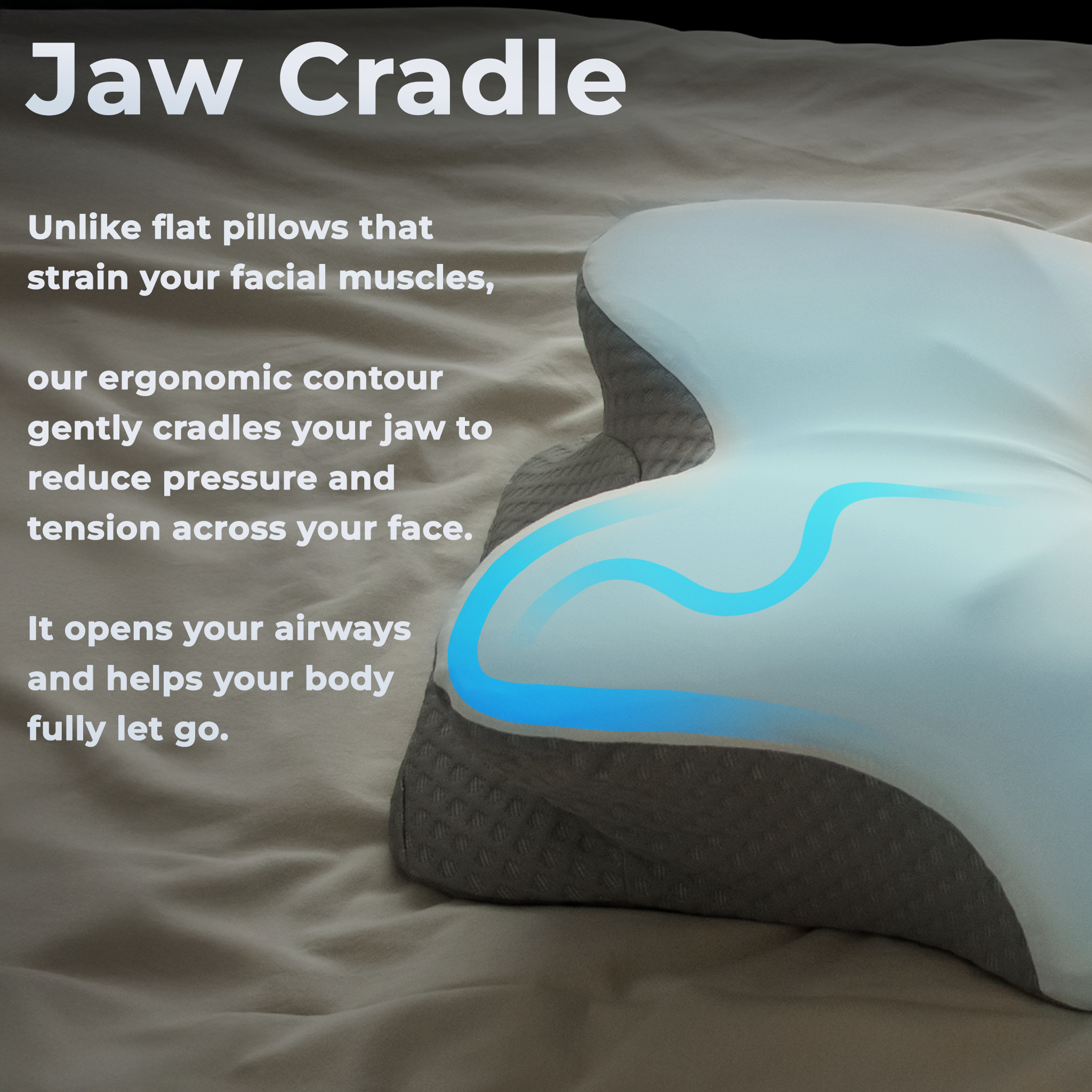 CloudEaze™ AuroraNest Pillow